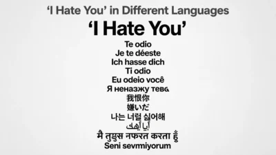 I Hate You in Different Languages