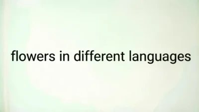 Flowers in Different Languages