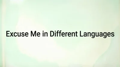 Excuse Me in Different Languages