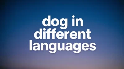 Dog in Different Languages