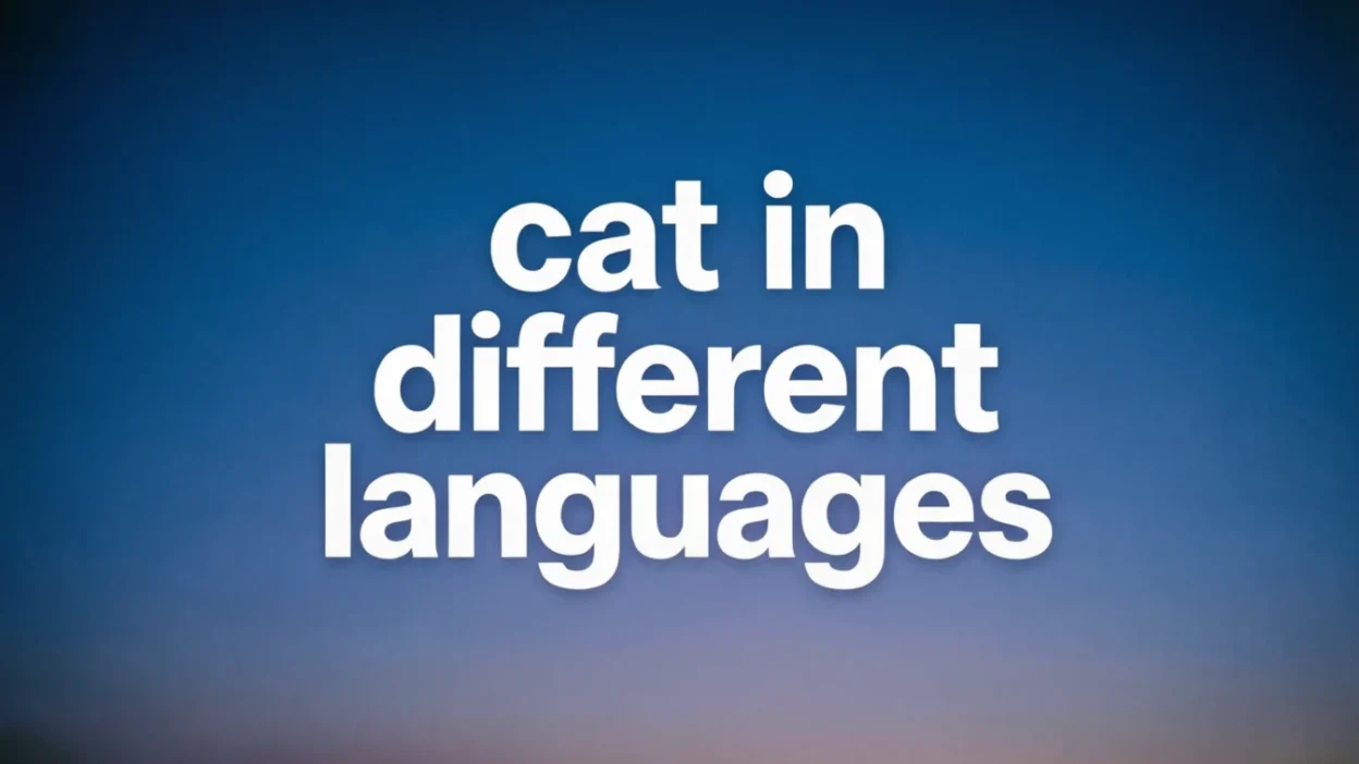Cat in Different Languages