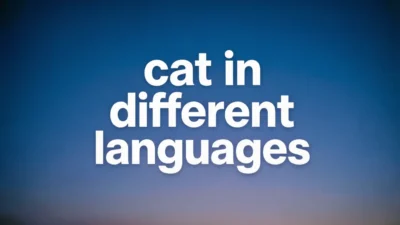 Cat in Different Languages