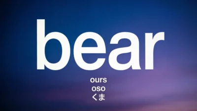 Bear in Different Languages