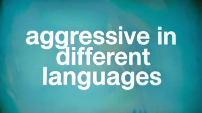 Aggressive in Different Languages