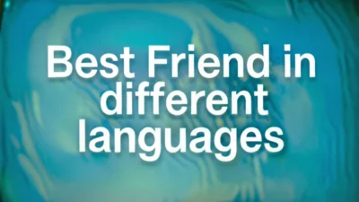 Best Friend in Different Languages
