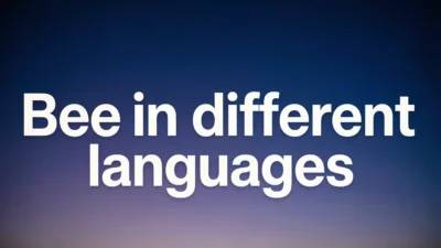 Bee in Different Languages