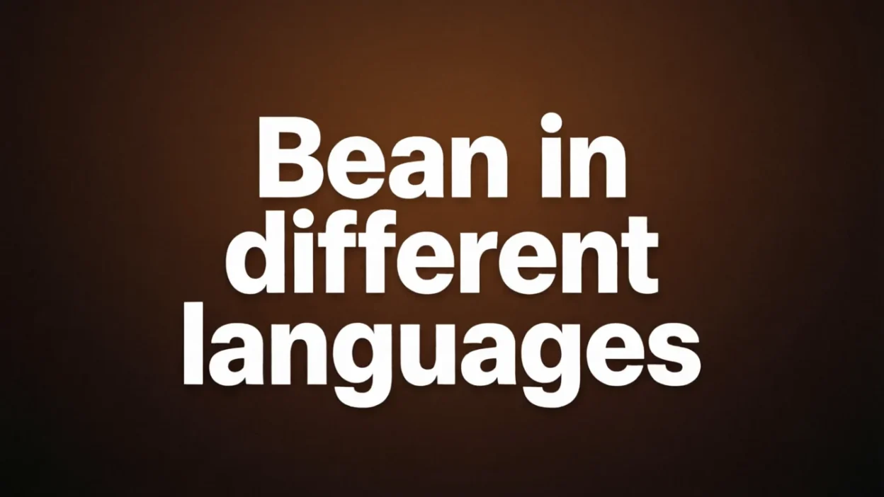 Bean in Different Languages