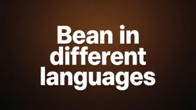 Bean in Different Languages
