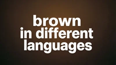 Brown in Different Languages