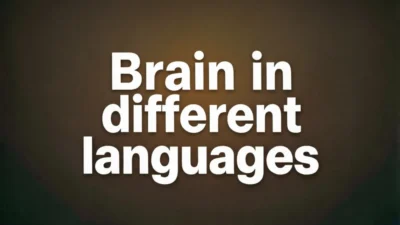 Brain in Different Languages