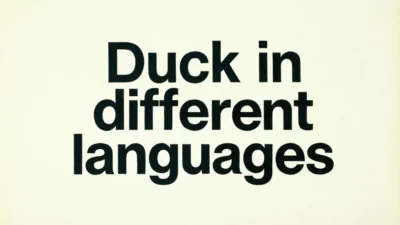 Duck in Different Languages