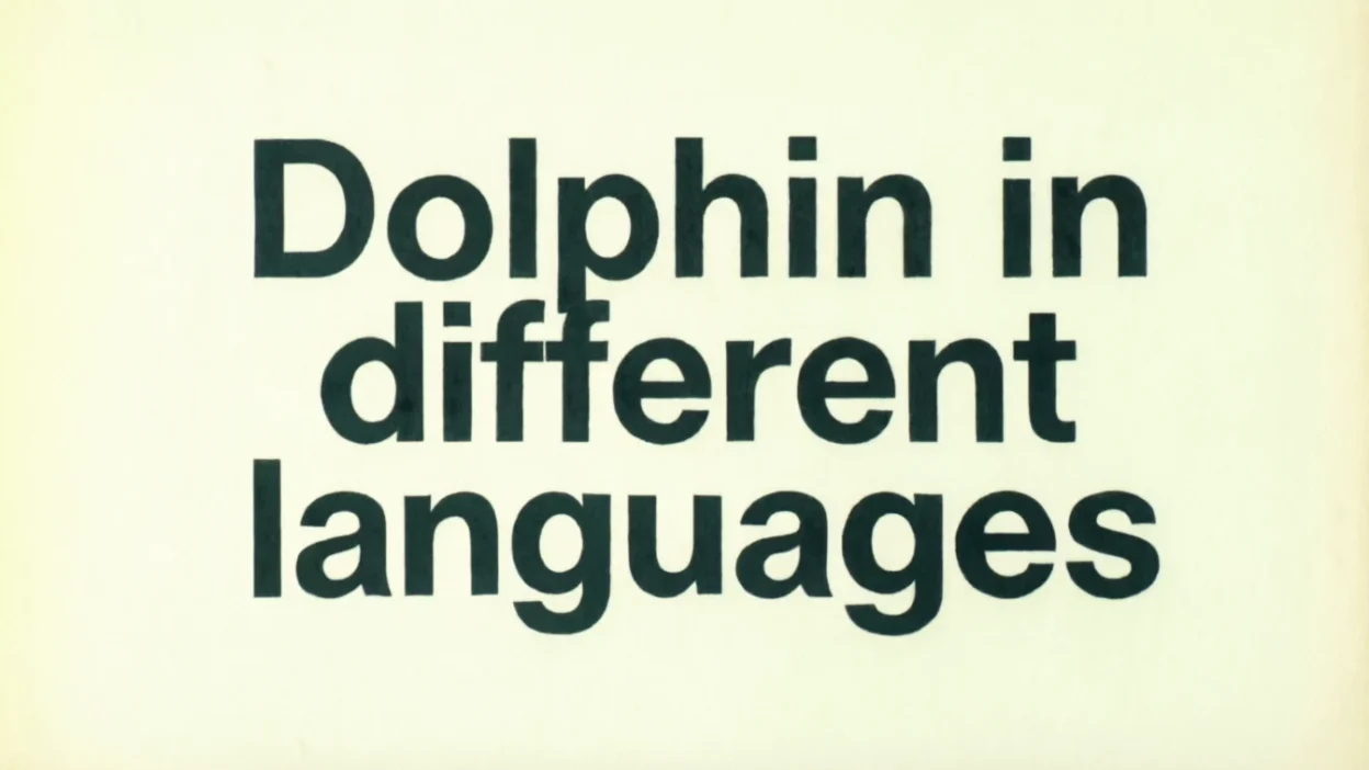 Dolphin in Different Languages