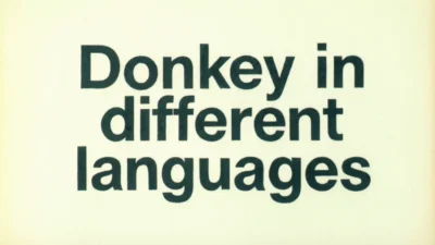 Donkey in Different Languages