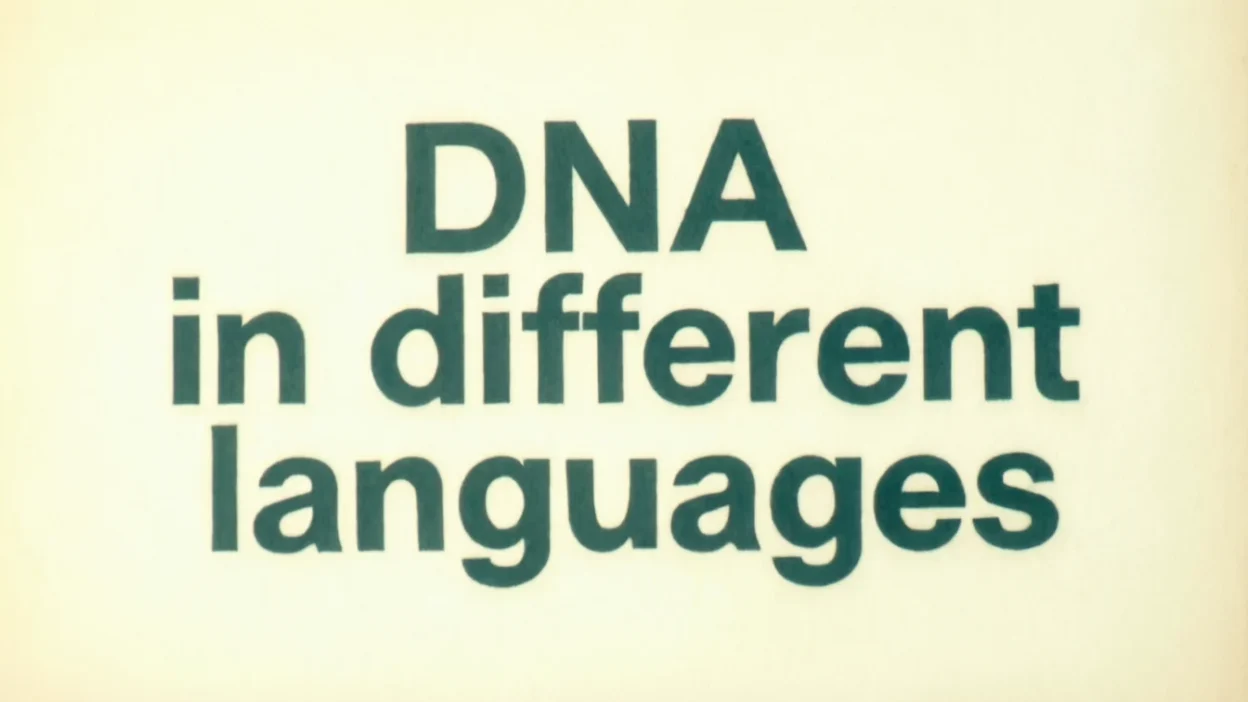 DNA in Different Languages
