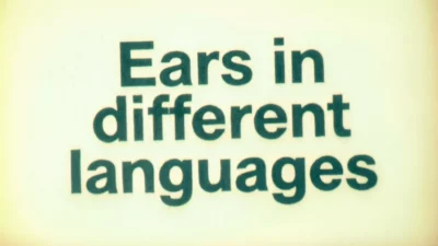 Ears in Different Languages