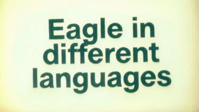Eagle in Different Languages