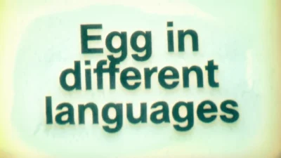How to Say “Egg” in Different Languages