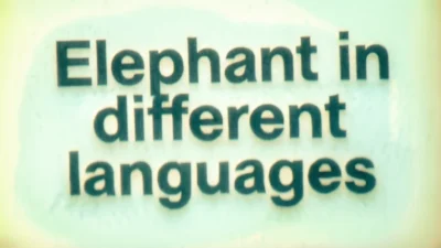 Elephant in Different Languages
